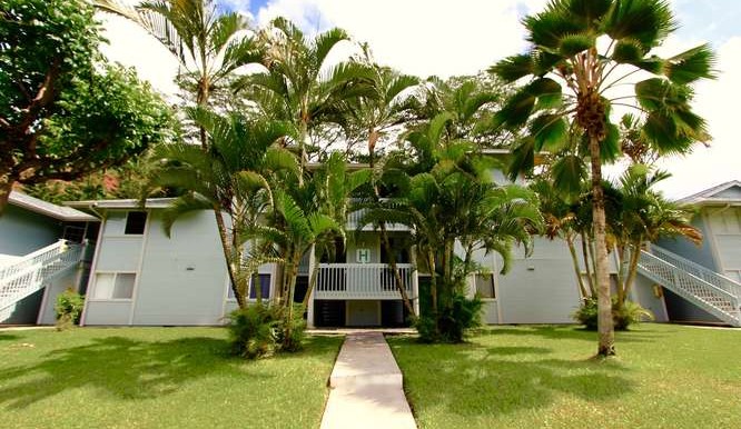 95656 Wikao Street H103-small-001-20-95656 Wikao Street H103-666x444-72dpi