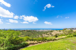 927159 Elele St 1103 Kapolei-037-020-View-MLS_Size