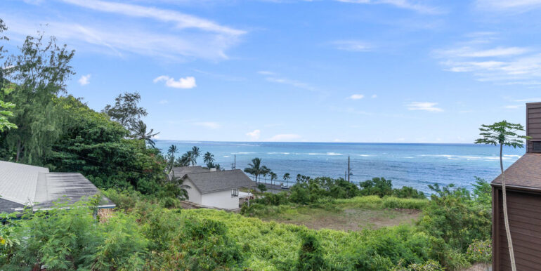 51636 Kamehameha Hwy 4422-006-004-View-MLS_Size