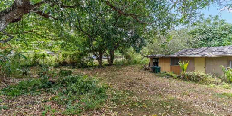 59650 Kamehameha Hwy Haleiwa-026-025-Back Yard-MLS_Size